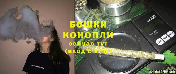 стаф Верея
