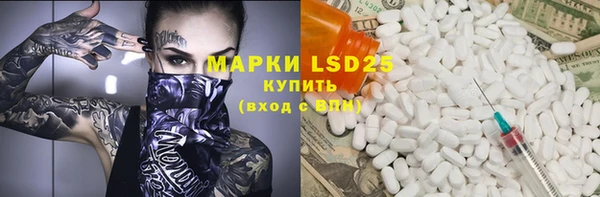 стаф Верея