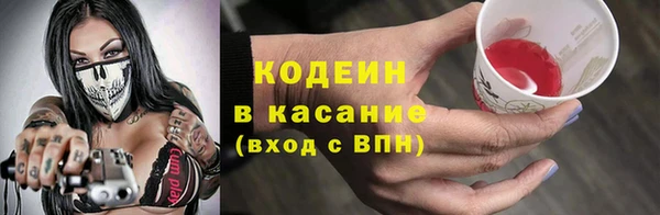 стаф Верея
