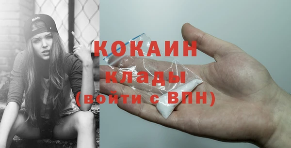 стаф Верея