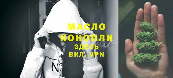 стаф Верея