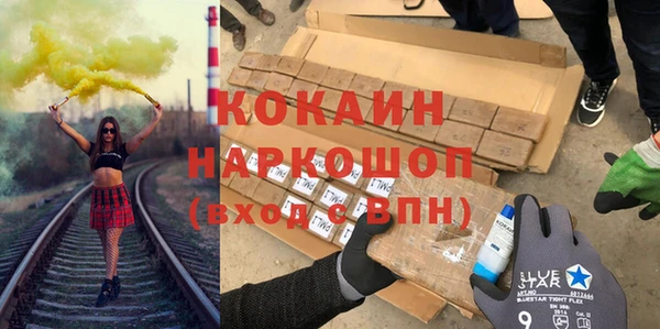 стаф Верея