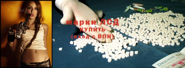 стаф Верея