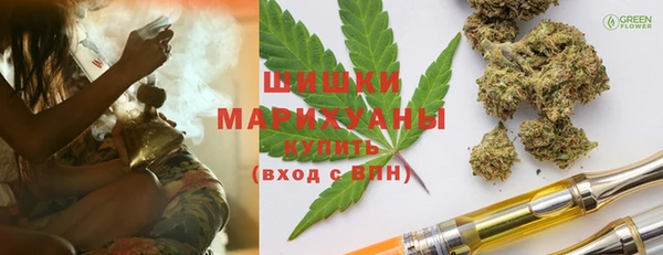 стаф Верея