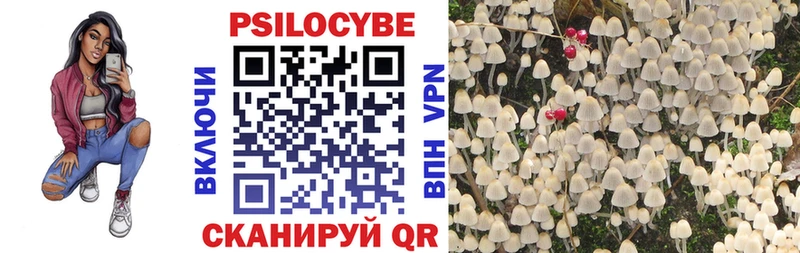 купить наркотики цена  Грязи  blacksprut ссылка  Галлюциногенные грибы MAGIC MUSHROOMS 