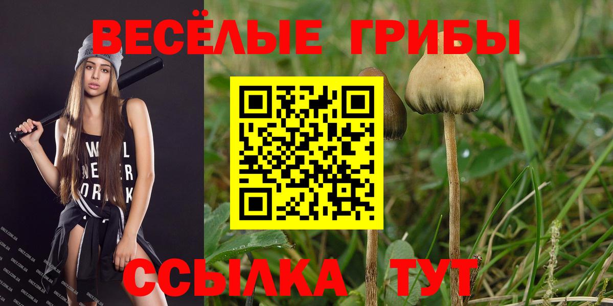 Галлюциногенные грибы Magic Shrooms Грязи