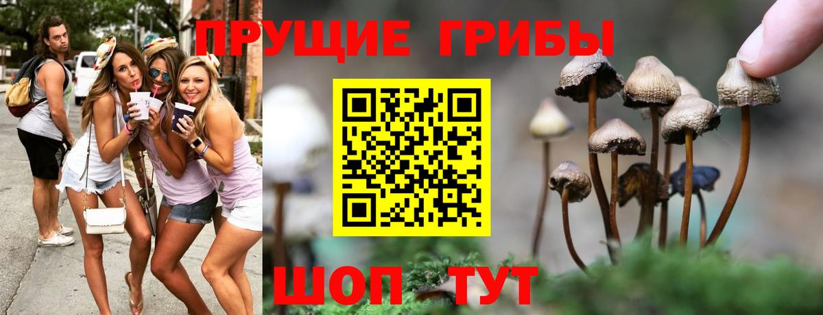 Галлюциногенные грибы мухоморы Грязи