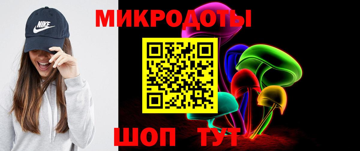 Галлюциногенные грибы Psilocybe  Вход с VPN  Грязи 